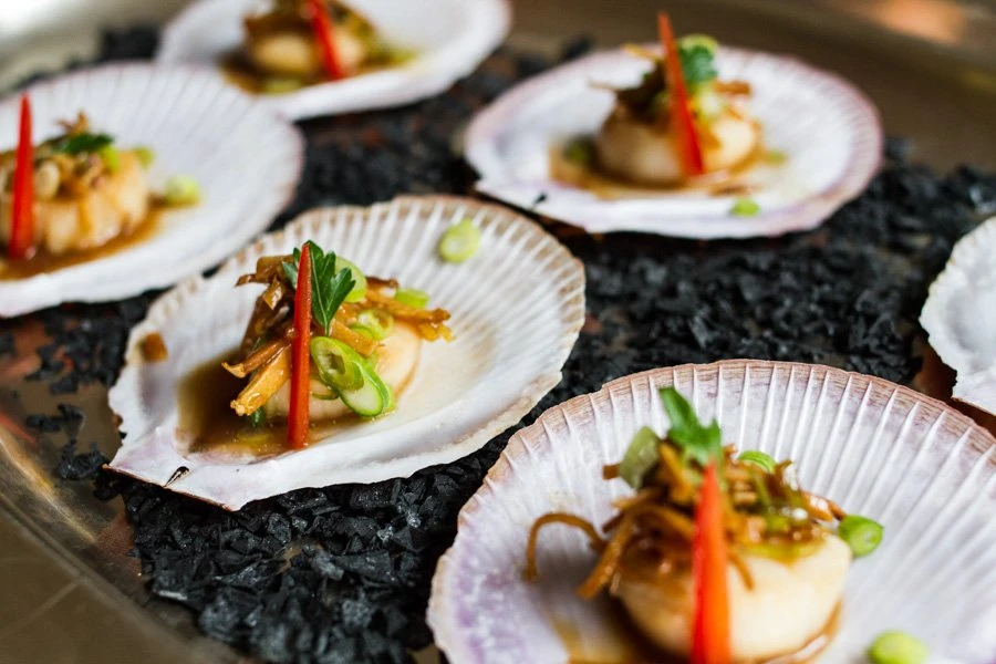 Urban Cooking Collective