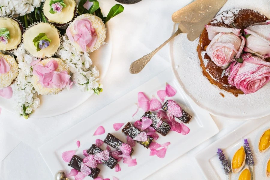 Urban Cooking Collective