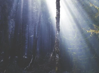 Brett (Bananas) Clarke