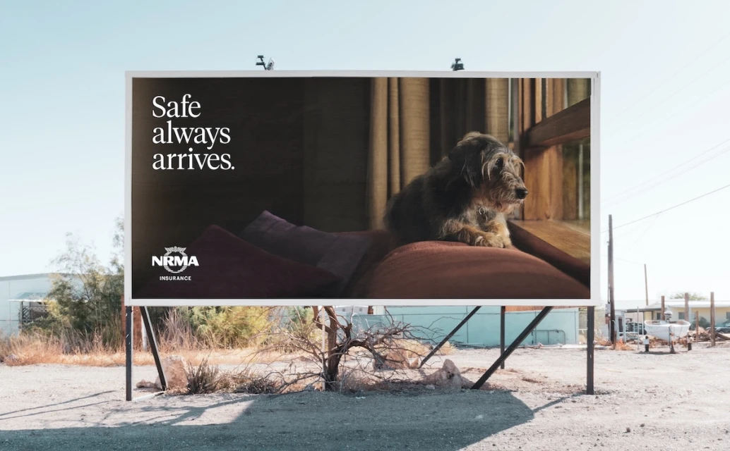 Bear Meets Eagle On Fire