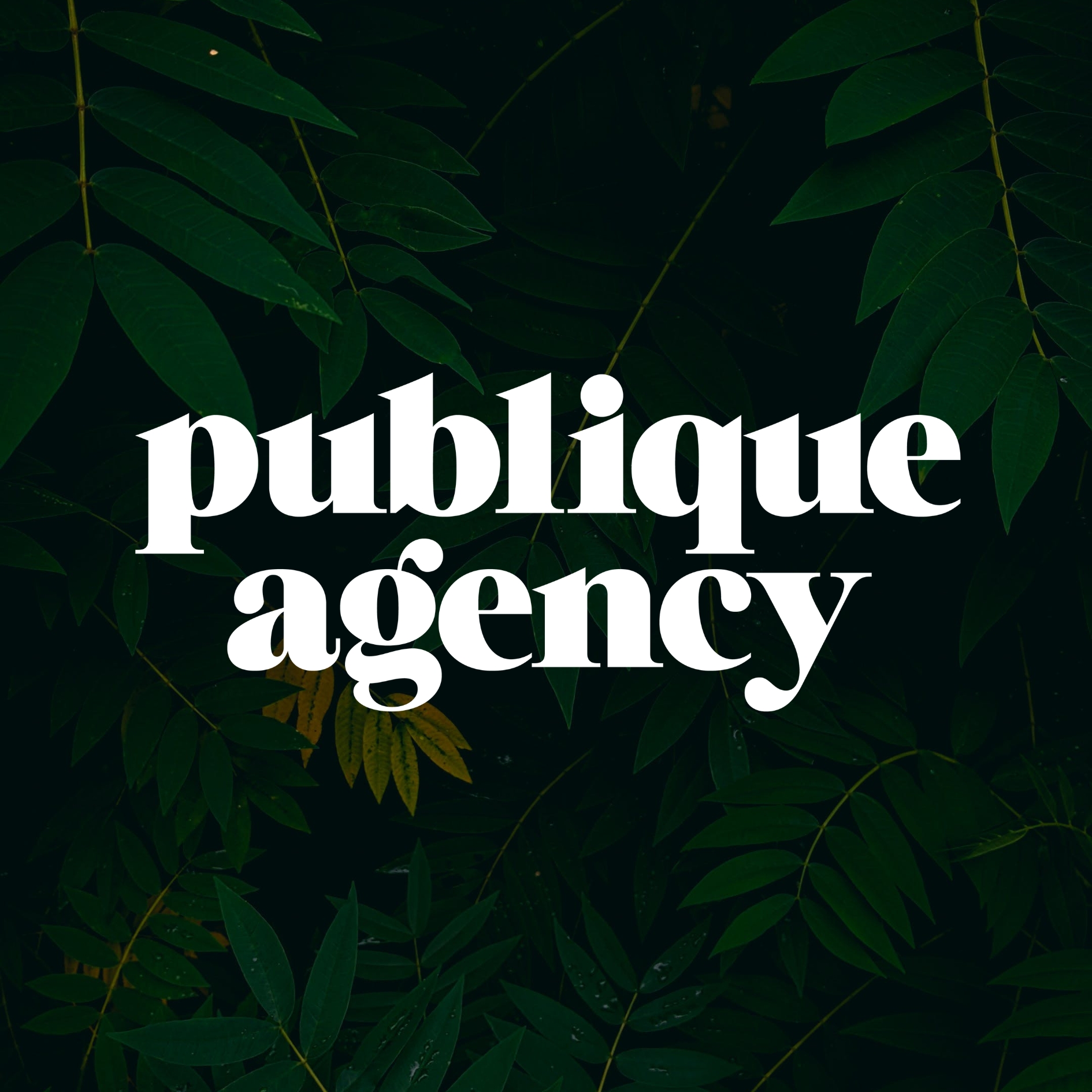Publique Agency