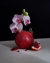 Darian Creative Studio