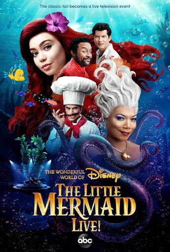 Walter Schupfer Management