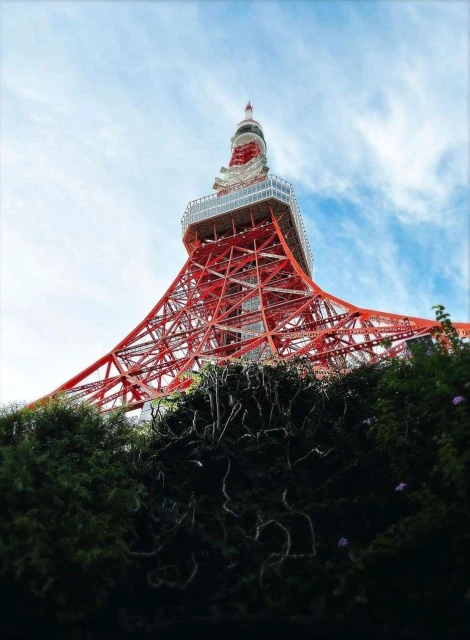 Walter Schupfer Management