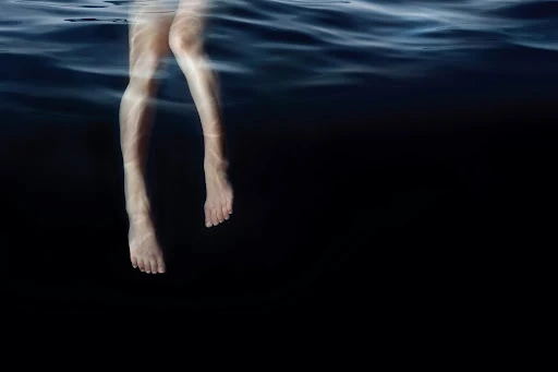 Walter Schupfer Management