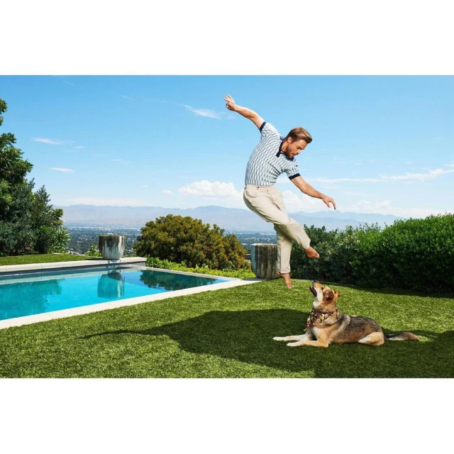 Walter Schupfer Management