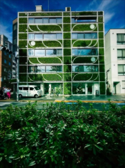 Walter Schupfer Management