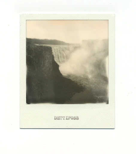 Walter Schupfer Management