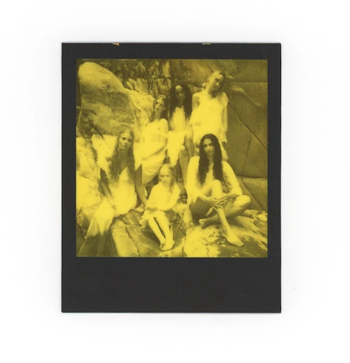 Walter Schupfer Management