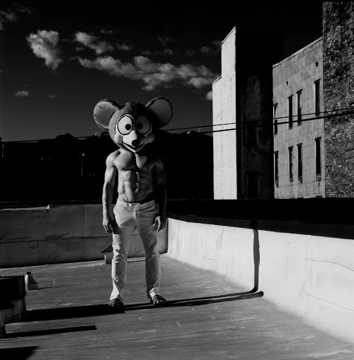 Walter Schupfer Management