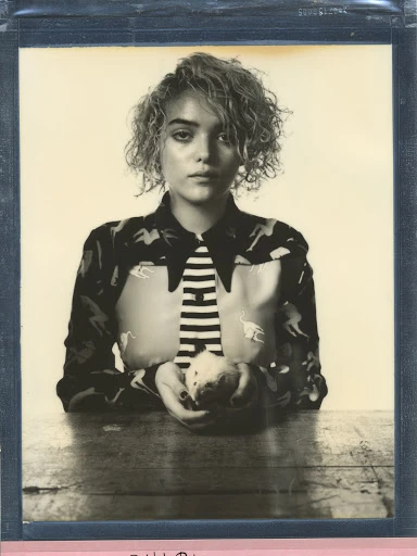 Walter Schupfer Management