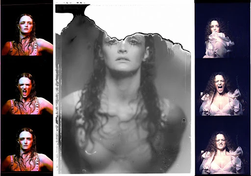 Walter Schupfer Management