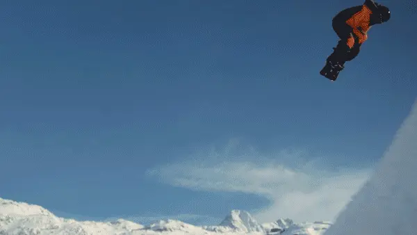 Walter Schupfer Management