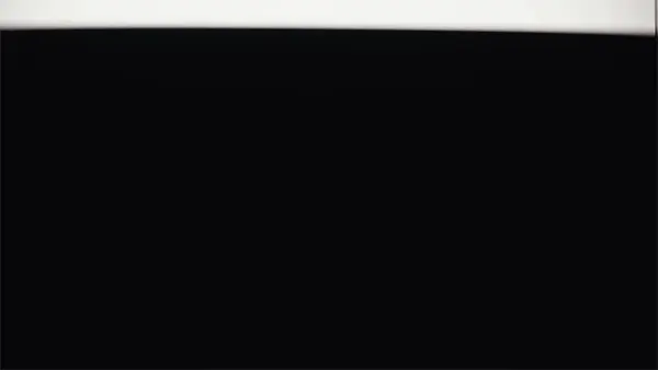 Walter Schupfer Management