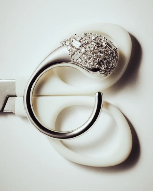 Walter Schupfer Management