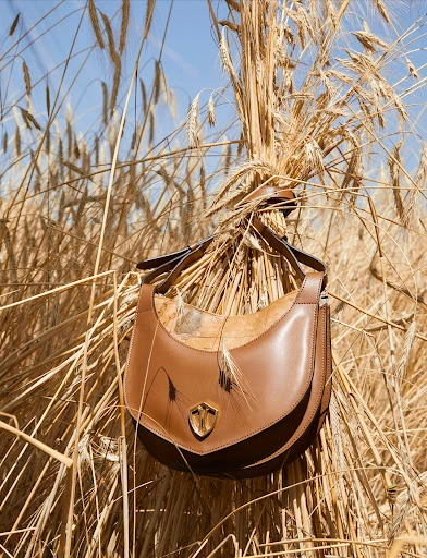 Walter Schupfer Management