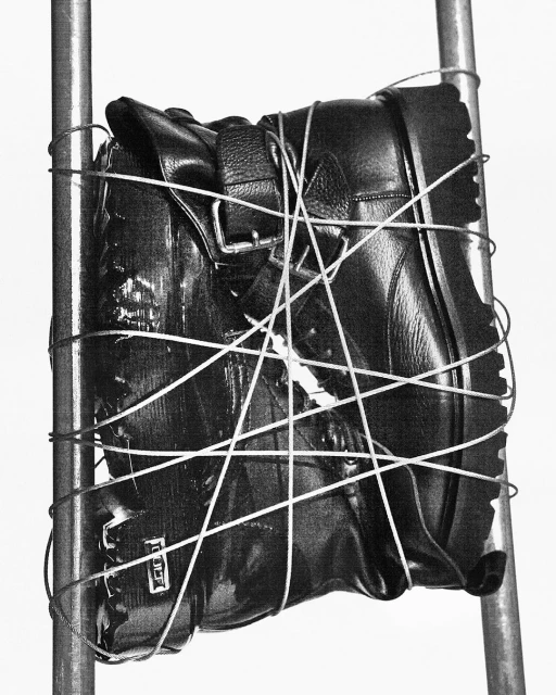 Walter Schupfer Management