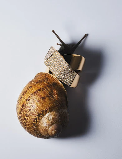 Walter Schupfer Management