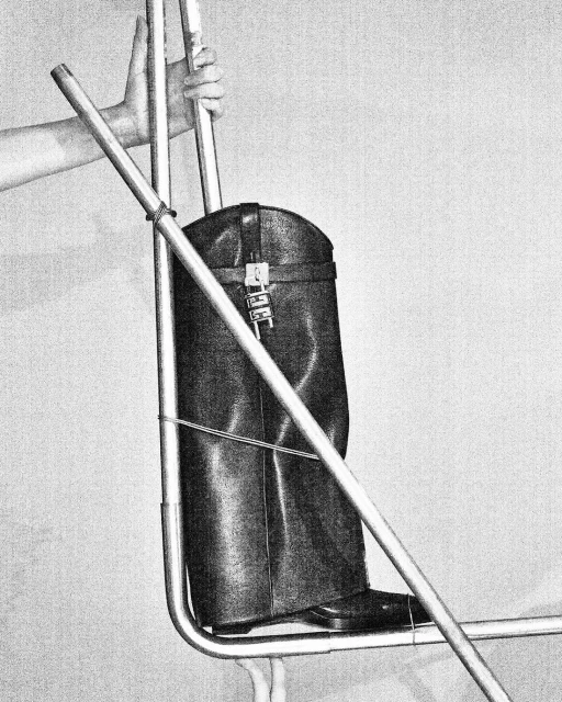 Walter Schupfer Management