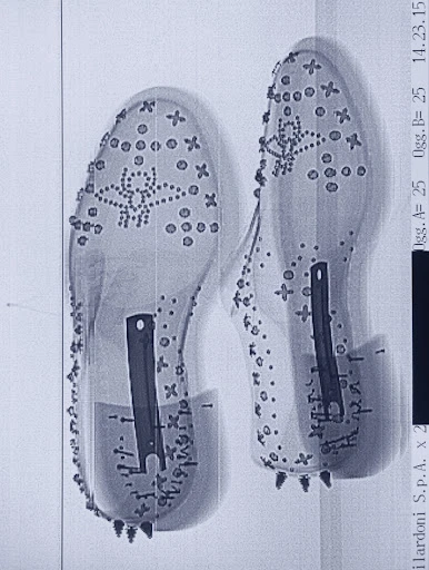 Walter Schupfer Management