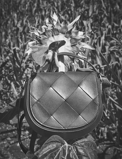 Walter Schupfer Management