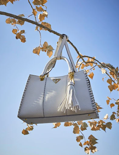 Walter Schupfer Management