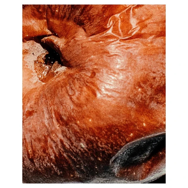 Candace Gelman & Associates