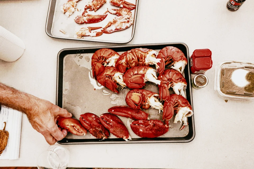 Candace Gelman & Associates