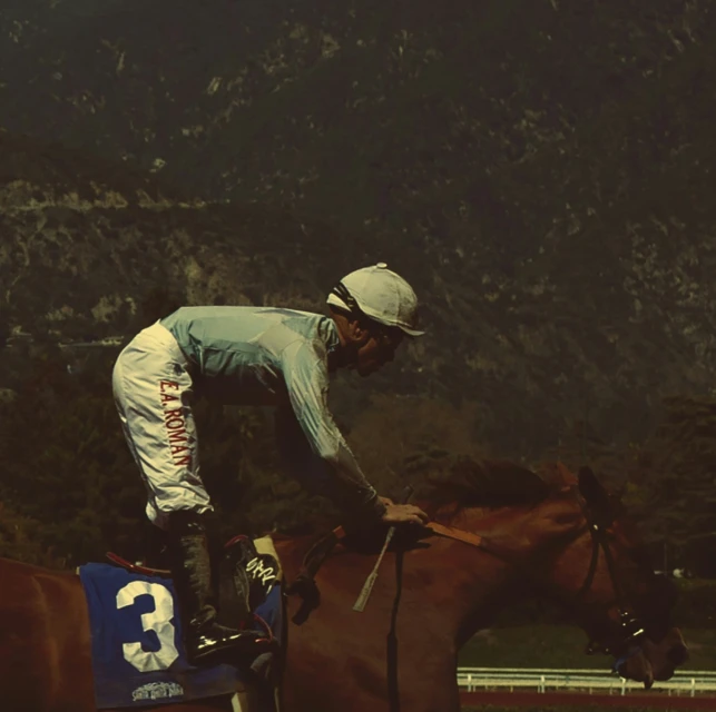 Candace Gelman & Associates