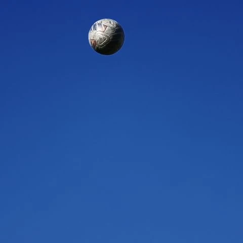 Candace Gelman & Associates