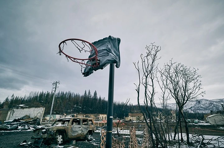 Candace Gelman & Associates