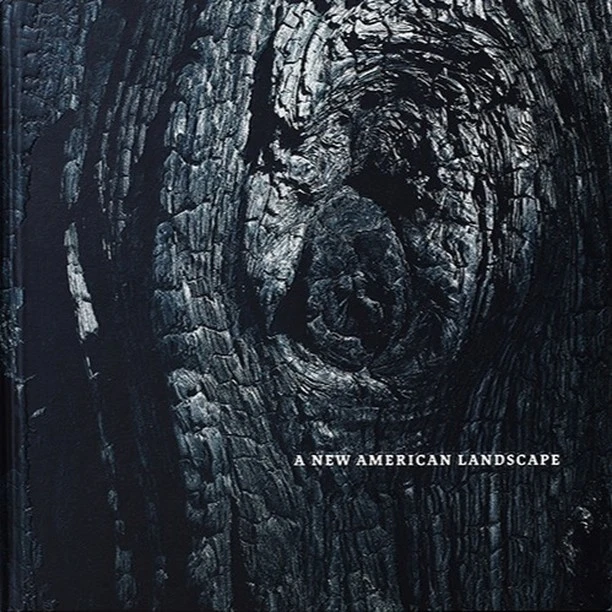 Candace Gelman & Associates