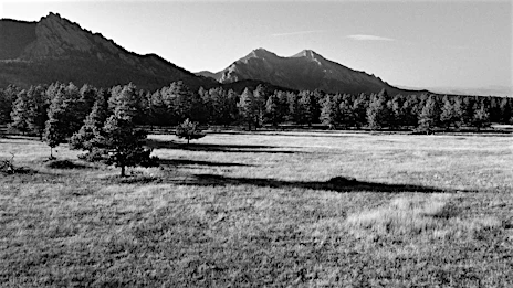 Candace Gelman & Associates