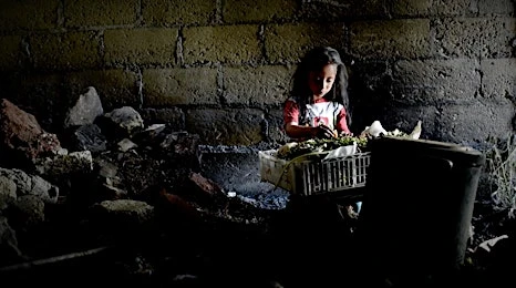 Candace Gelman & Associates