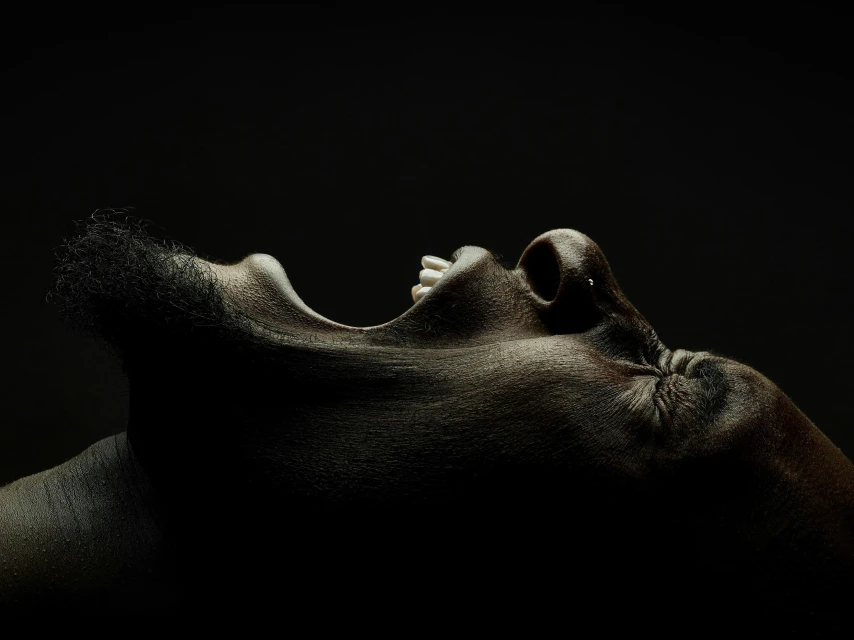 Candace Gelman & Associates