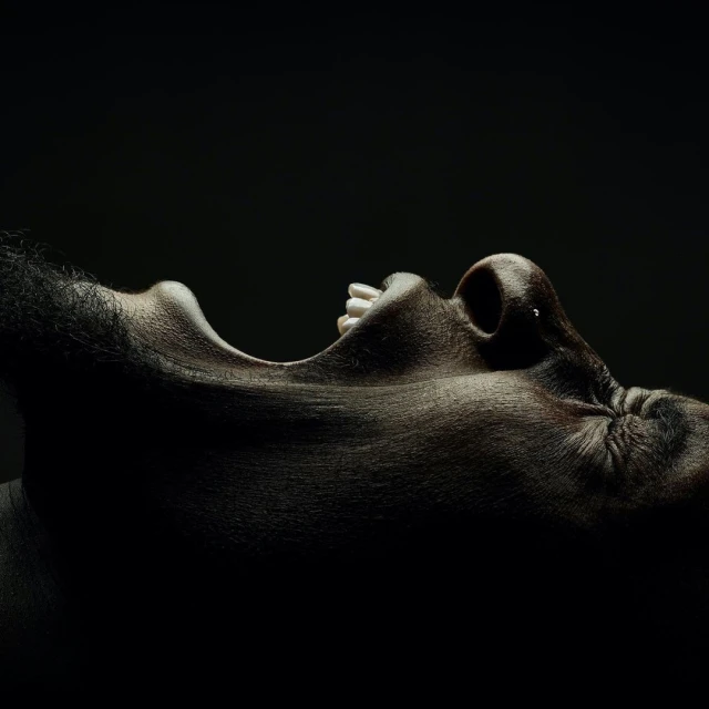 Candace Gelman & Associates