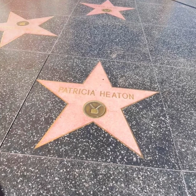 Candace Gelman & Associates