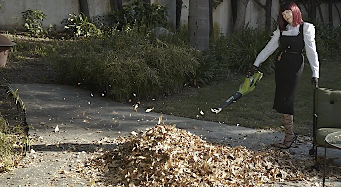 Candace Gelman & Associates