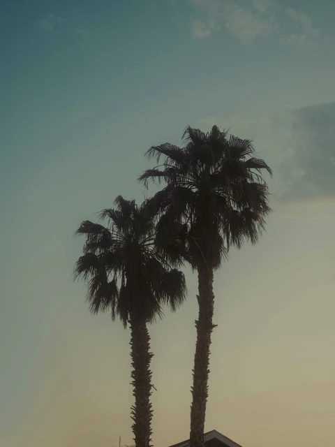 Candace Gelman & Associates