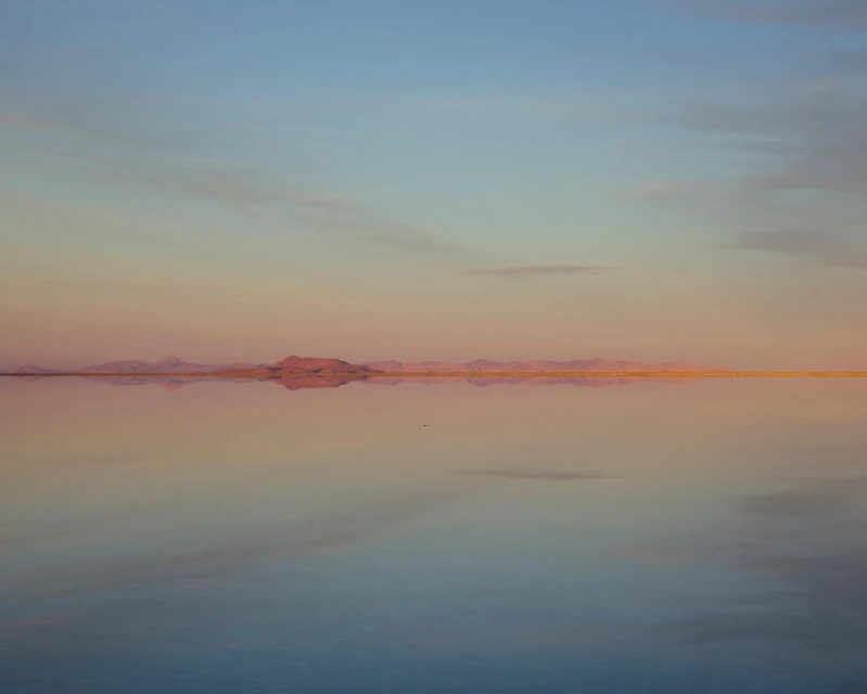 Candace Gelman & Associates