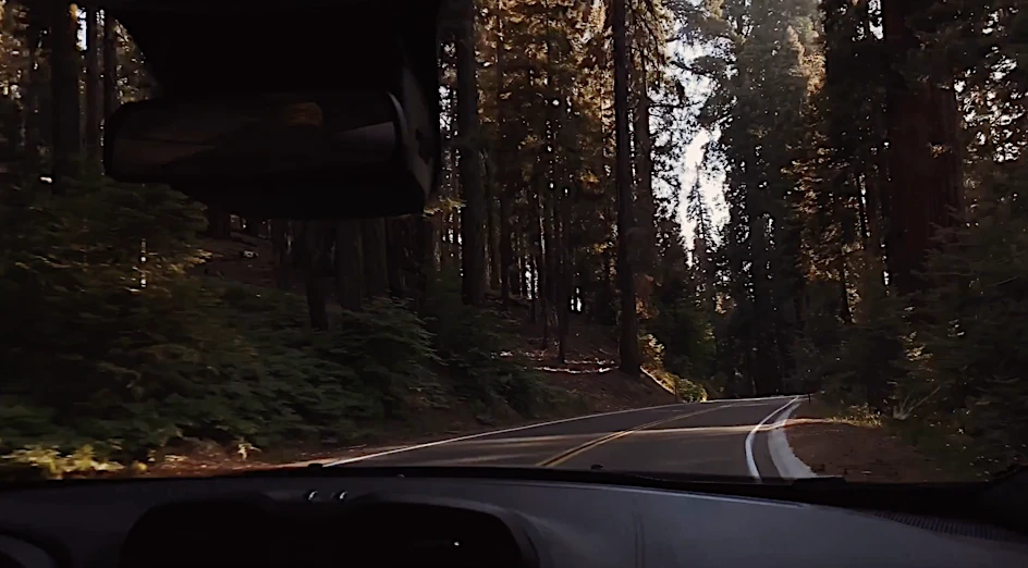 Candace Gelman & Associates