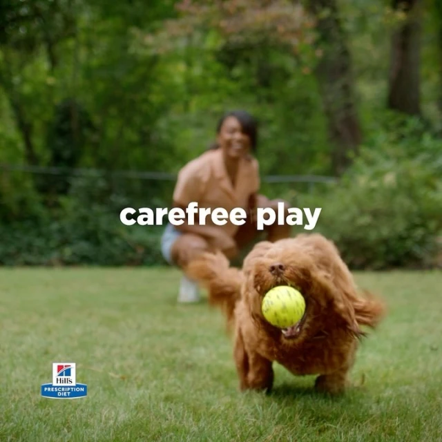 Candace Gelman & Associates