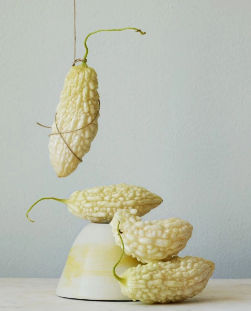 Candace Gelman & Associates