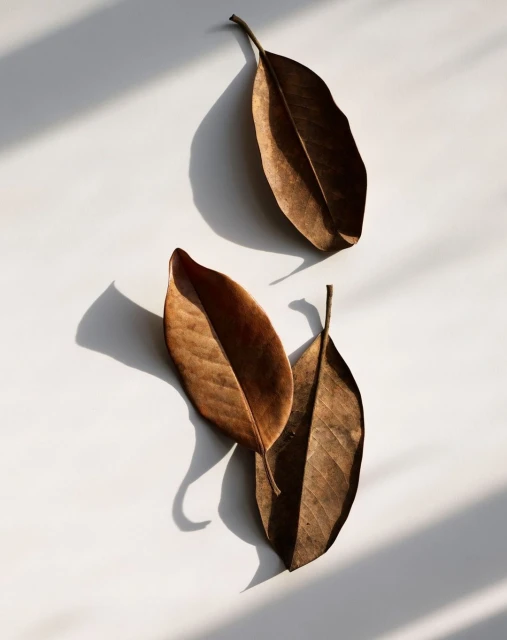 Candace Gelman & Associates