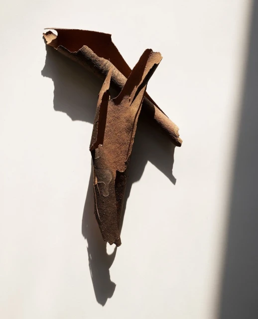 Candace Gelman & Associates