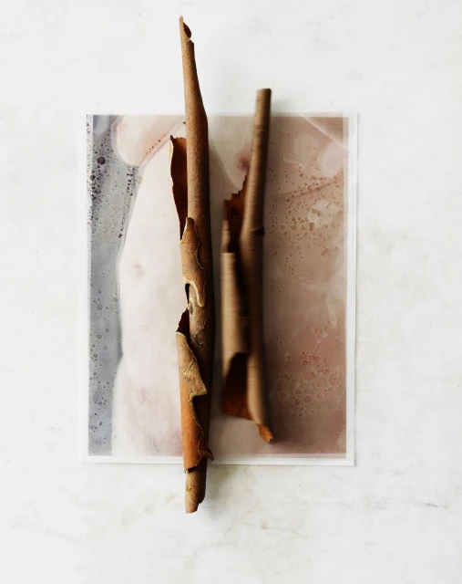 Candace Gelman & Associates