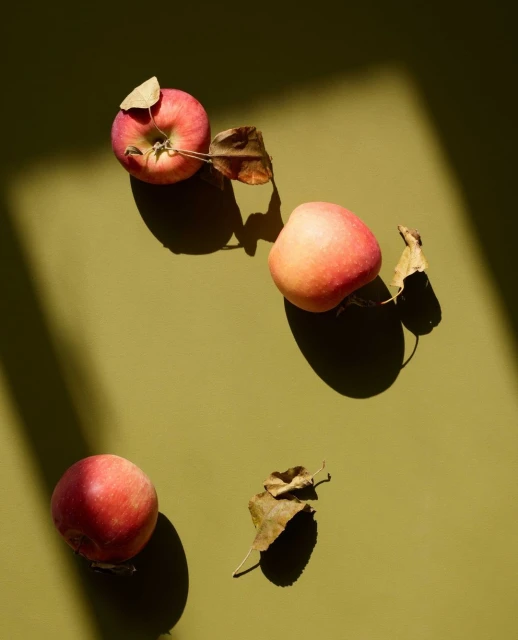 Candace Gelman & Associates