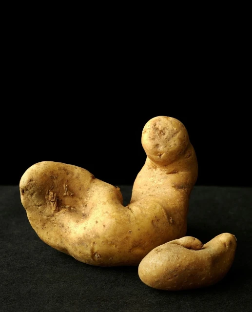 Candace Gelman & Associates