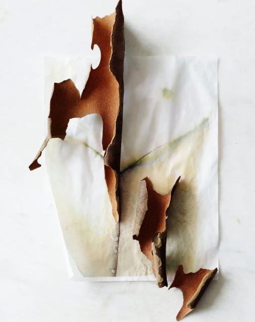 Candace Gelman & Associates