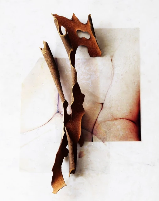 Candace Gelman & Associates